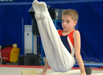 Bakıda kişi idman gimnastikası üzrə çoxnövçülükdə yarışlar başlayıb. Azərbaycan, 5 dekabr 2015